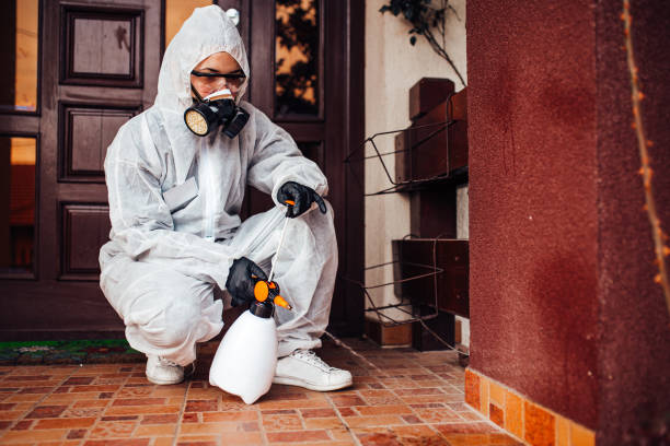 Attic and Crawl Space Rodent Treatment in Havana